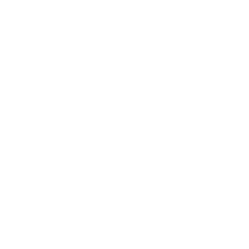 audit